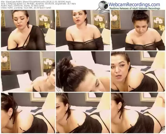 xlovecam-dixiemorecocks-webcam-show-11_01_2018-09_33_41