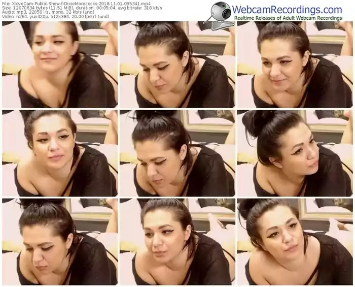 xlovecam-dixiemorecocks-webcam-show-11_01_2018-09_53_41