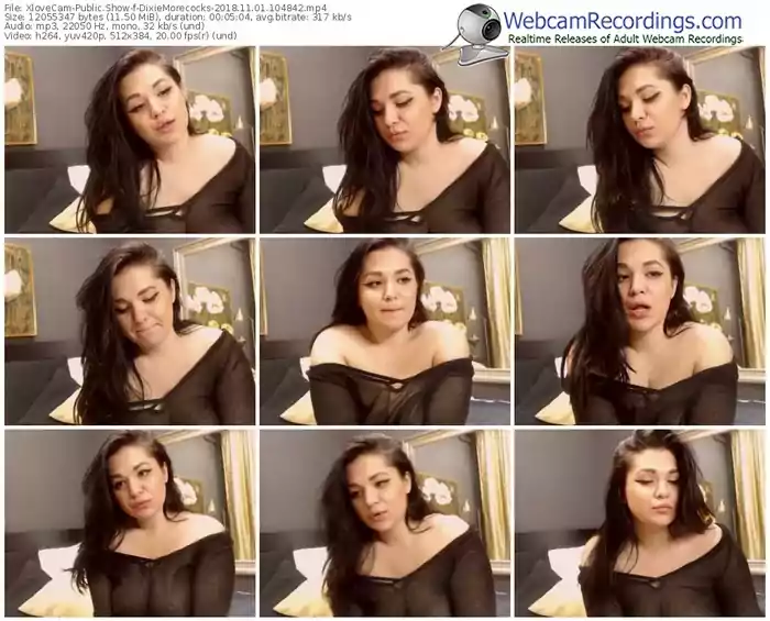 xlovecam-dixiemorecocks-webcam-show-11_01_2018-10_48_42