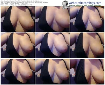 xlovecam-tonfantaisie-webcam-show-11_01_2018-06_23_38