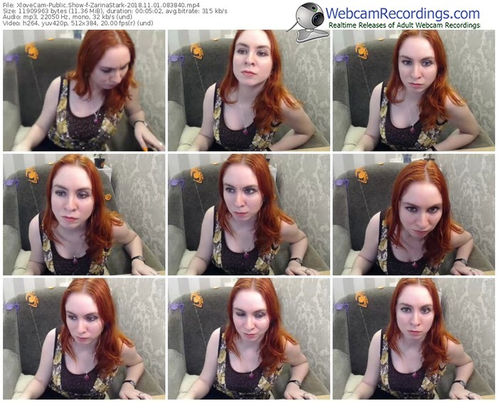 xlovecam-zarinastark-webcam-show-11_01_2018-08_38_40