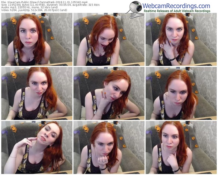 xlovecam-zarinastark-webcam-show-11_01_2018-10_53_42