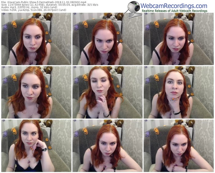 xlovecam-zarinastark-webcam-show-11_02_2018-08_29_02