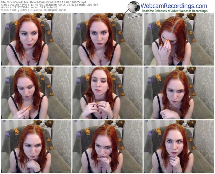 xlovecam-zarinastark-webcam-show-11_02_2018-11_09_05