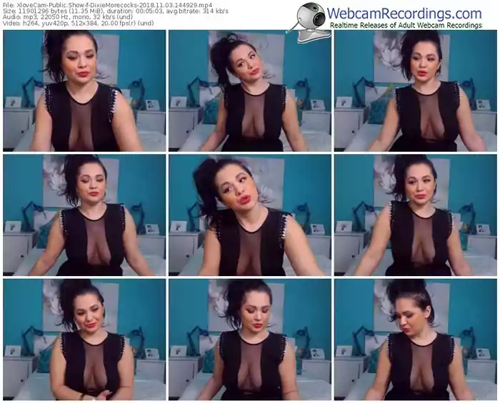 xlovecam-dixiemorecocks-webcam-show-11_03_2018-14_49_29