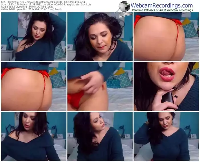 xlovecam-dixiemorecocks-webcam-show-11_03_2018-19_04_33