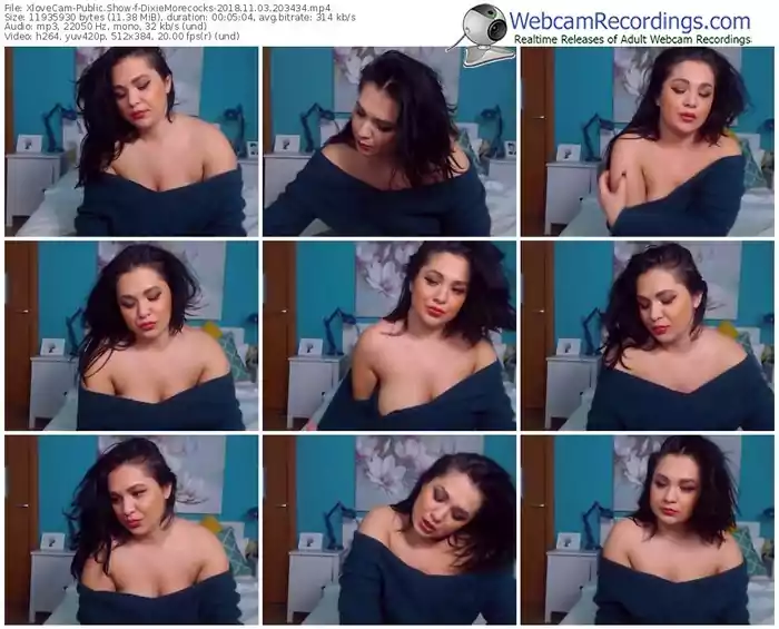 xlovecam-dixiemorecocks-webcam-show-11_03_2018-20_34_34