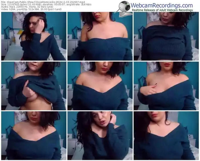 xlovecam-dixiemorecocks-webcam-show-11_03_2018-23_29_37