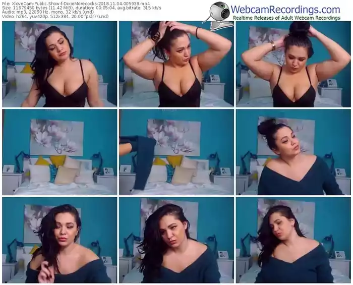 xlovecam-dixiemorecocks-webcam-show-11_04_2018-00_59_38