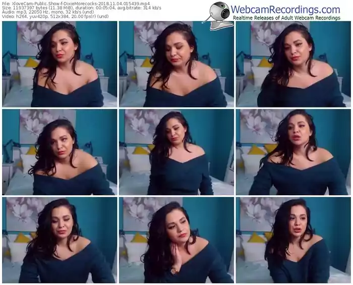 xlovecam-dixiemorecocks-webcam-show-11_04_2018-01_54_39