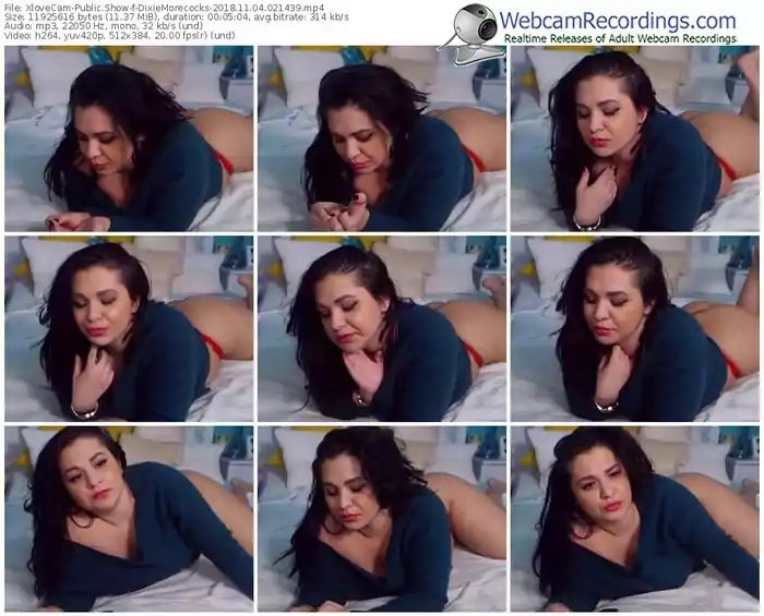 xlovecam-dixiemorecocks-webcam-show-11_04_2018-02_14_39