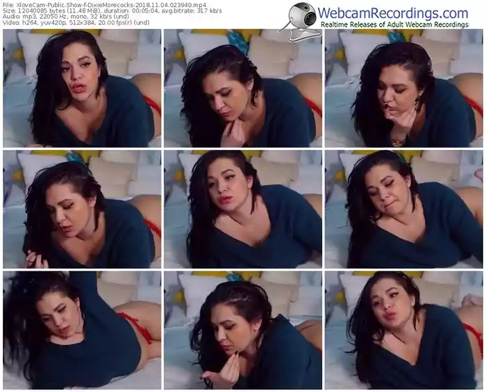 xlovecam-dixiemorecocks-webcam-show-11_04_2018-02_39_40