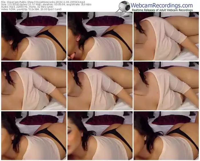 xlovecam-dixiemorecocks-webcam-show-11_06_2018-23_55_43