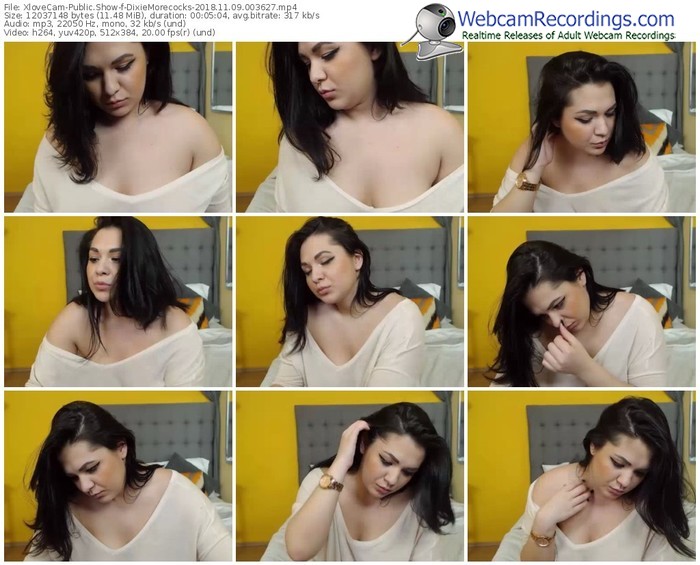 xlovecam-dixiemorecocks-webcam-show-11_09_2018-00_36_27