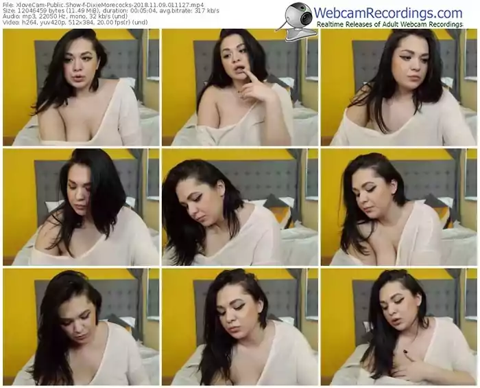 xlovecam-dixiemorecocks-webcam-show-11_09_2018-01_11_27