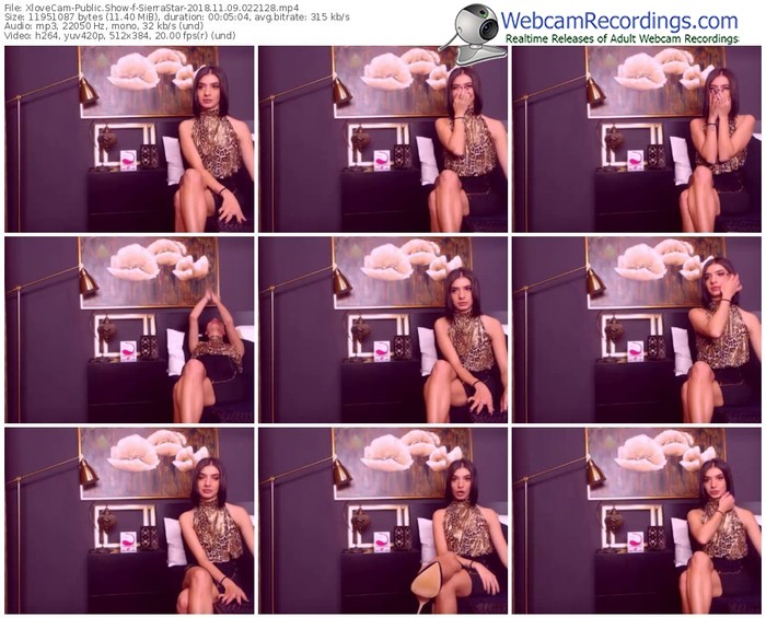 xlovecam-sierrastar-webcam-show-11_09_2018-02_21_28