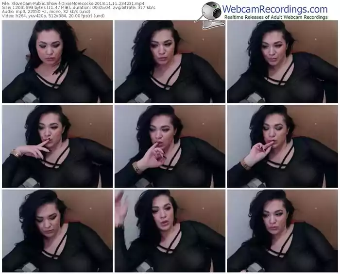 xlovecam-dixiemorecocks-webcam-show-11_11_2018-23_42_31