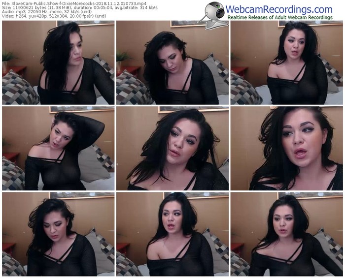 xlovecam-dixiemorecocks-webcam-show-11_12_2018-01_07_33