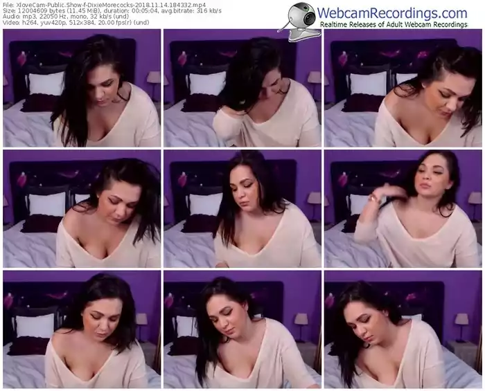 xlovecam-dixiemorecocks-webcam-show-11_14_2018-18_43_32