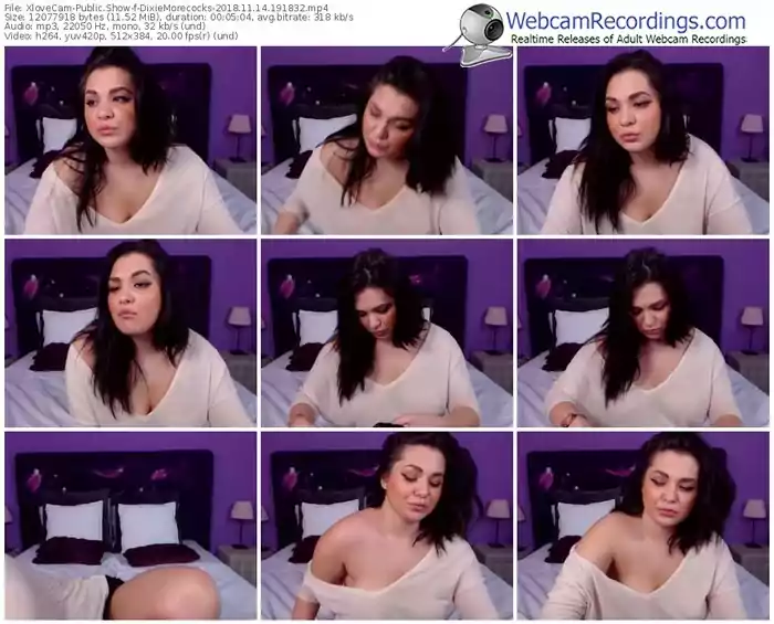 xlovecam-dixiemorecocks-webcam-show-11_14_2018-19_18_32