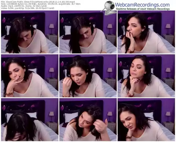 xlovecam-dixiemorecocks-webcam-show-11_14_2018-20_13_33