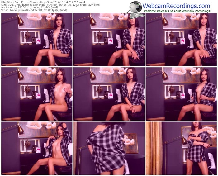 xlovecam-sierrastar-webcam-show-11_14_2018-01_08_15