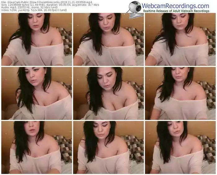 xlovecam-dixiemorecocks-webcam-show-11_21_2018-03_35_58