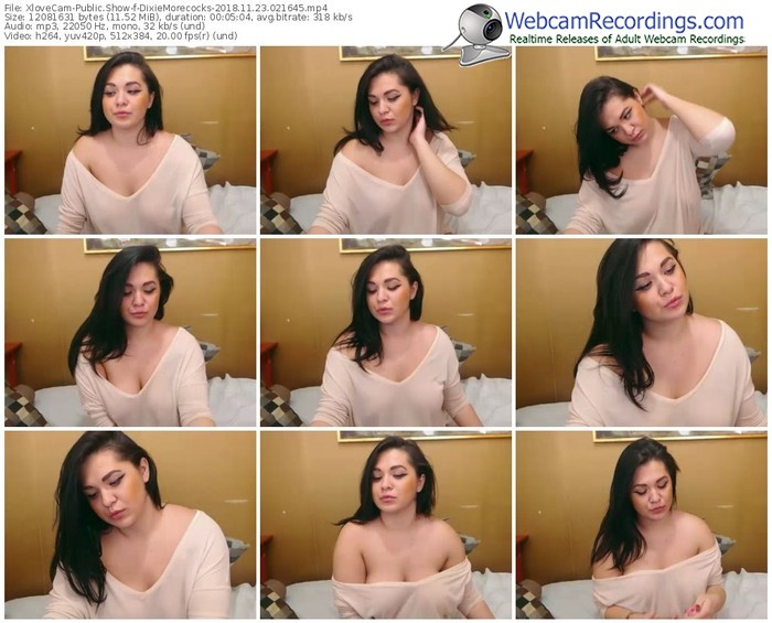 xlovecam-dixiemorecocks-webcam-show-11_23_2018-02_16_45