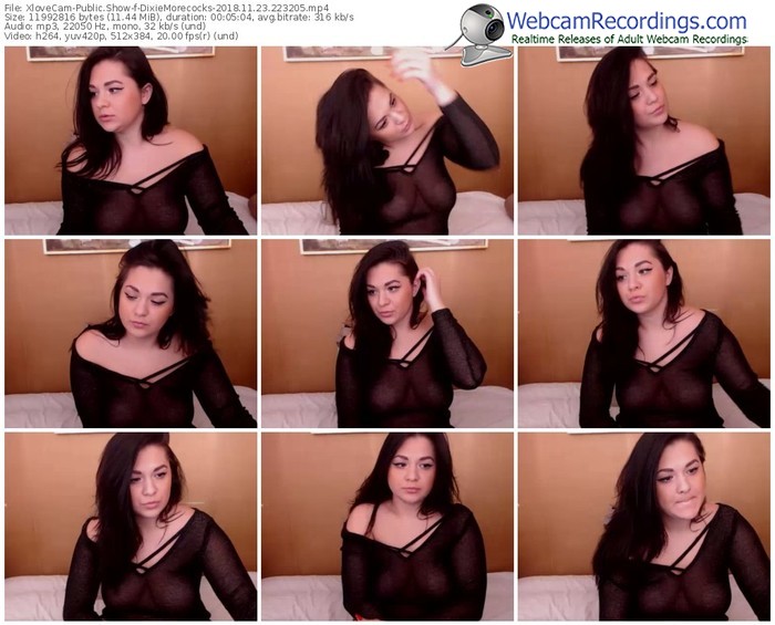 xlovecam-dixiemorecocks-webcam-show-11_23_2018-22_32_05
