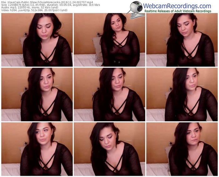xlovecam-dixiemorecocks-webcam-show-11_24_2018-00_27_07