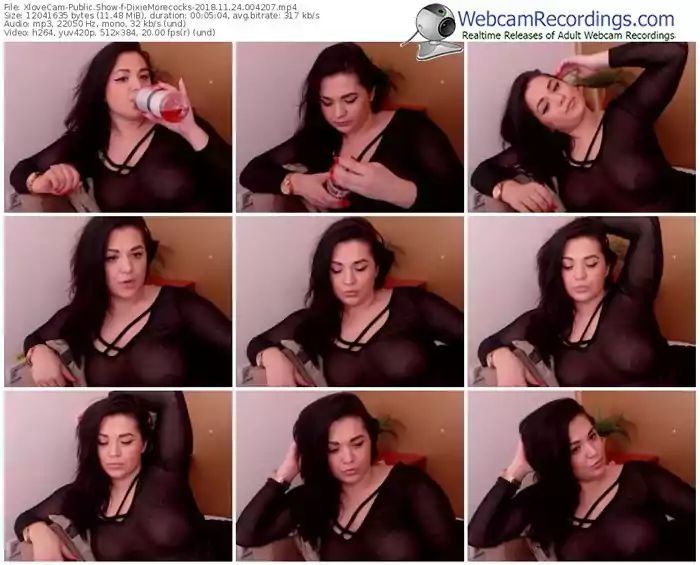 xlovecam-dixiemorecocks-webcam-show-11_24_2018-00_42_07