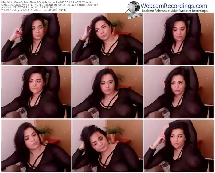 xlovecam-dixiemorecocks-webcam-show-11_24_2018-00_52_07