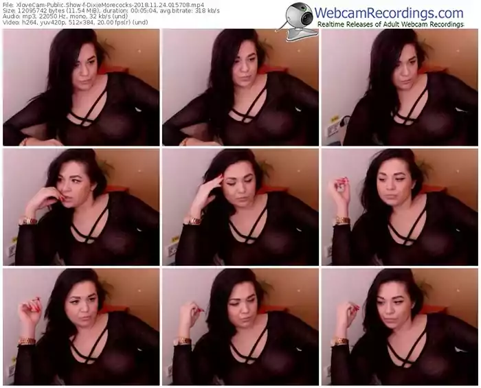 xlovecam-dixiemorecocks-webcam-show-11_24_2018-01_57_08