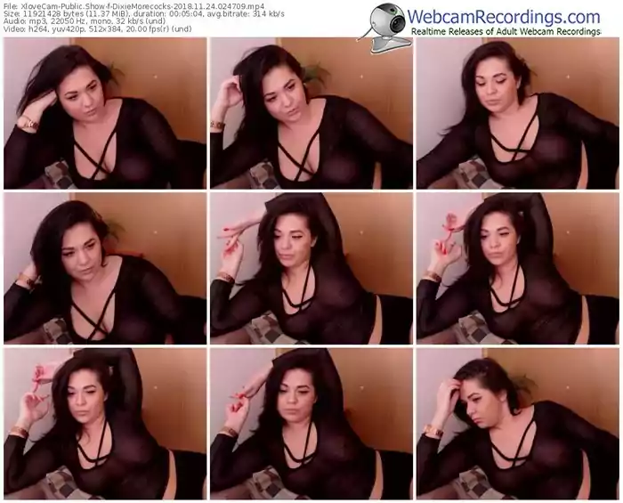 xlovecam-dixiemorecocks-webcam-show-11_24_2018-02_47_09