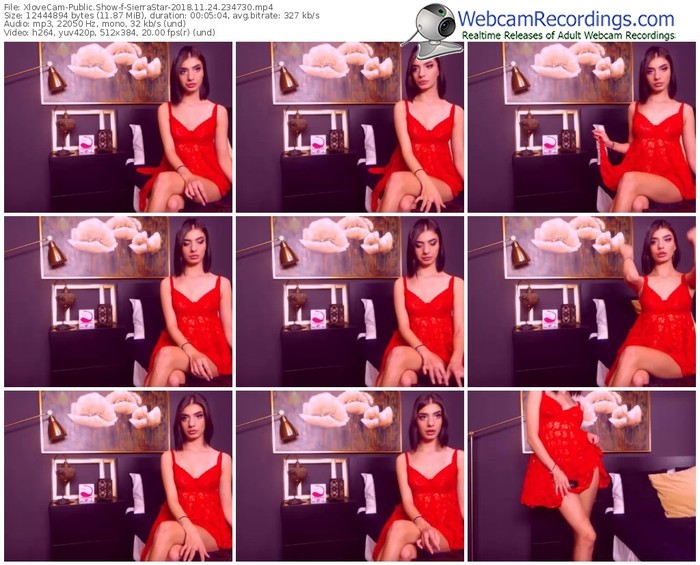 xlovecam-sierrastar-webcam-show-11_24_2018-23_47_30