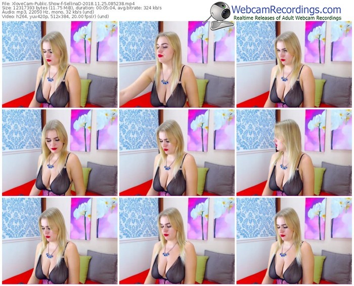 xlovecam-sellinad-webcam-show-11_25_2018-08_52_38