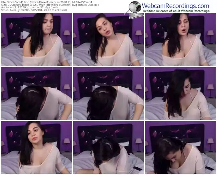 xlovecam-dixiemorecocks-webcam-show-11_26_2018-03_42_57