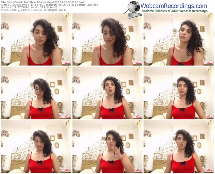 xlovecam-pamelajay-webcam-show-11_28_2018-06_06_32