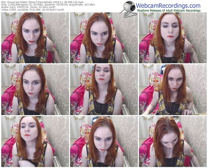 xlovecam-zarinastark-webcam-show-11_28_2018-08_11_32