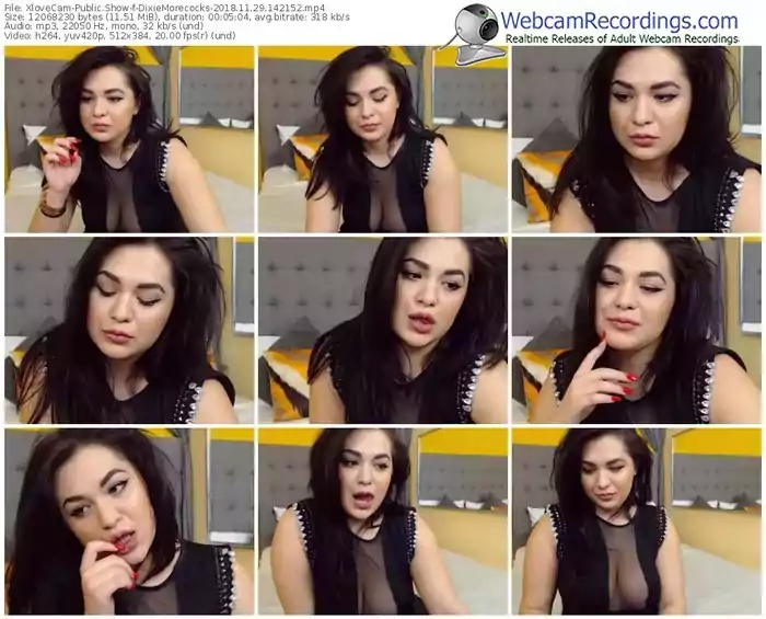 xlovecam-dixiemorecocks-webcam-show-11_29_2018-14_21_52