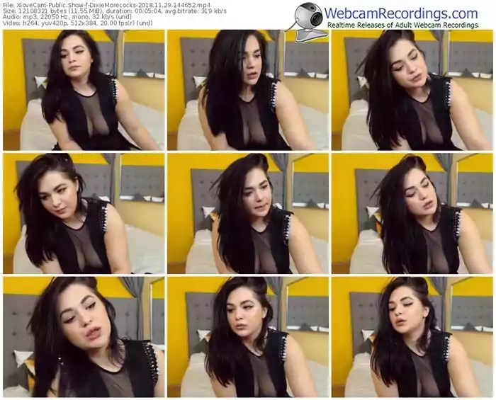 xlovecam-dixiemorecocks-webcam-show-11_29_2018-14_46_52