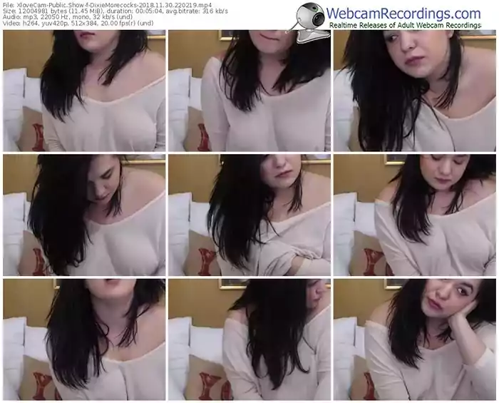 xlovecam-dixiemorecocks-webcam-show-11_30_2018-22_02_19