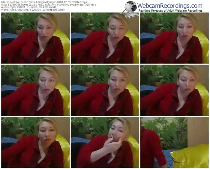 xlovecam-originalginger-webcam-show-12_05_2018-02_28_48