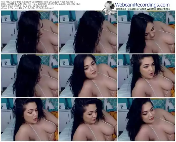 xlovecam-dixiemorecocks-webcam-show-12_07_2018-01_09_30