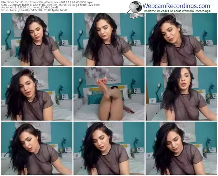 xlovecam-dixiemorecocks-webcam-show-12_08_2018-00_09_50