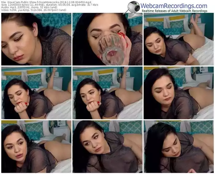 xlovecam-dixiemorecocks-webcam-show-12_08_2018-00_44_50