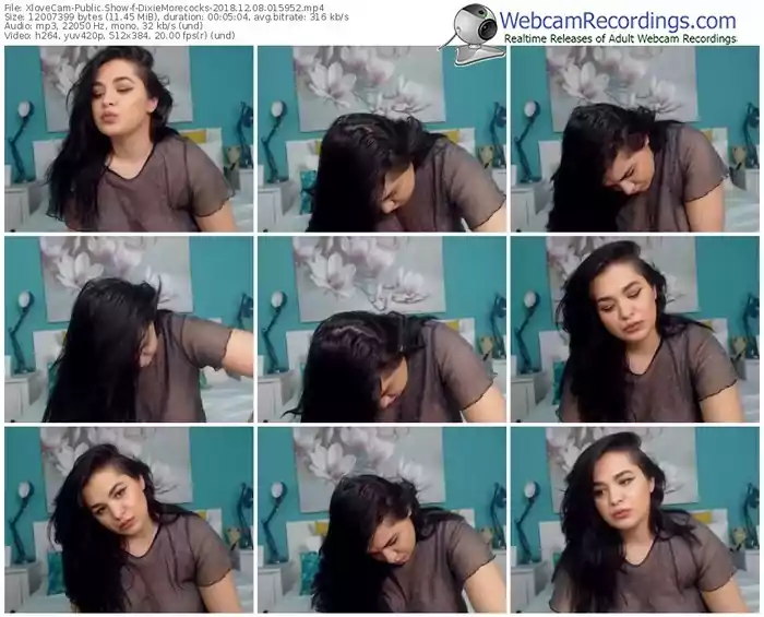 xlovecam-dixiemorecocks-webcam-show-12_08_2018-01_59_52