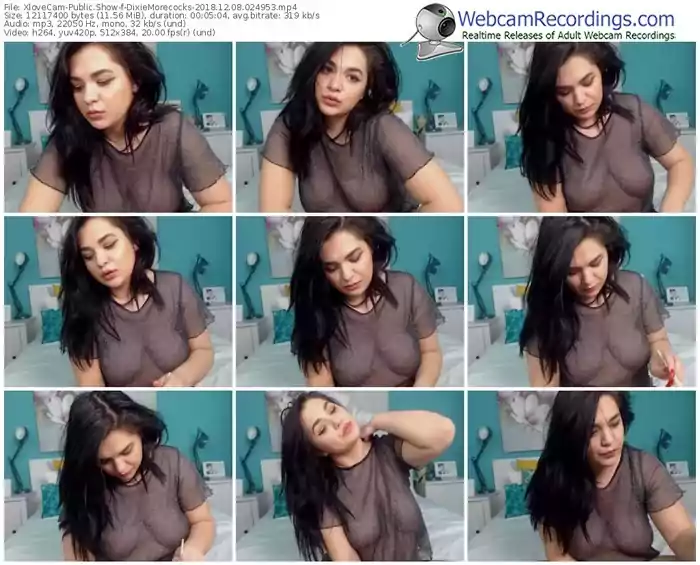 xlovecam-dixiemorecocks-webcam-show-12_08_2018-02_49_53