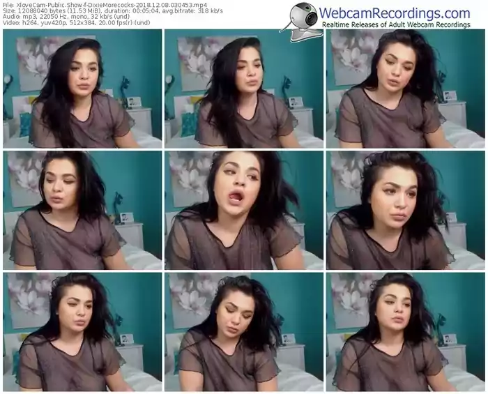 xlovecam-dixiemorecocks-webcam-show-12_08_2018-03_04_53