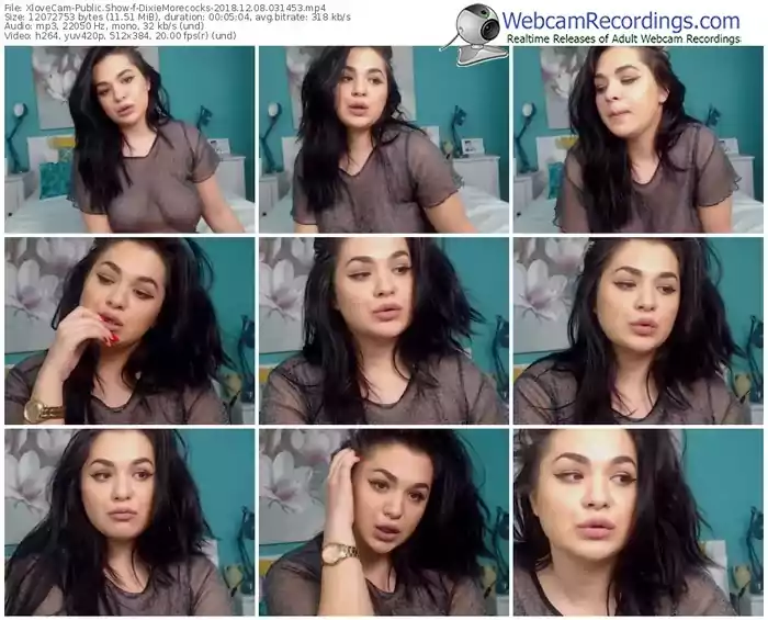 xlovecam-dixiemorecocks-webcam-show-12_08_2018-03_14_53